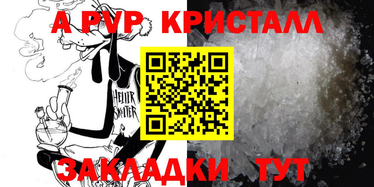 МЕФ Новозыбков