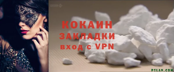 шишки Наволоки