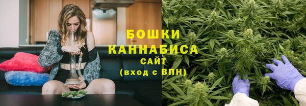 шишки Наволоки
