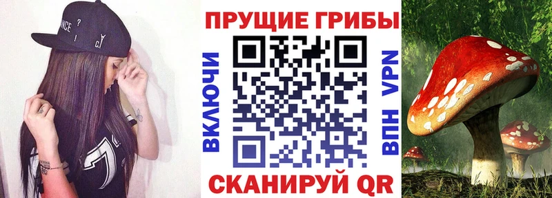 Псилоцибиновые грибы мицелий  купить  цена  Новозыбков 