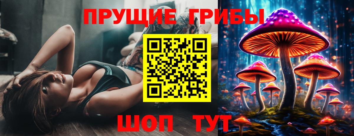 Новозыбков  Галлюциногенные грибы Psilocybine cubensis  Вход с VPN  Галлюциногенные грибы прущие грибы 
