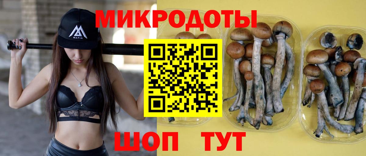 Псилоцибиновые грибы Magic Shrooms Новозыбков